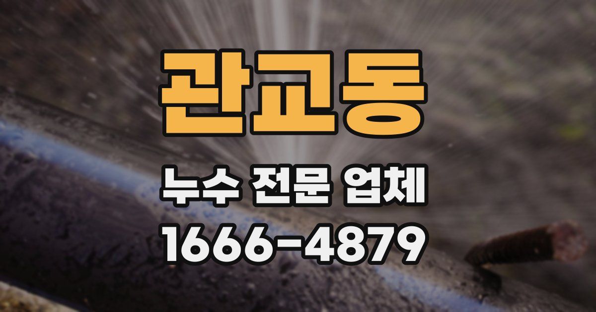 관교동 누수 전문 업체