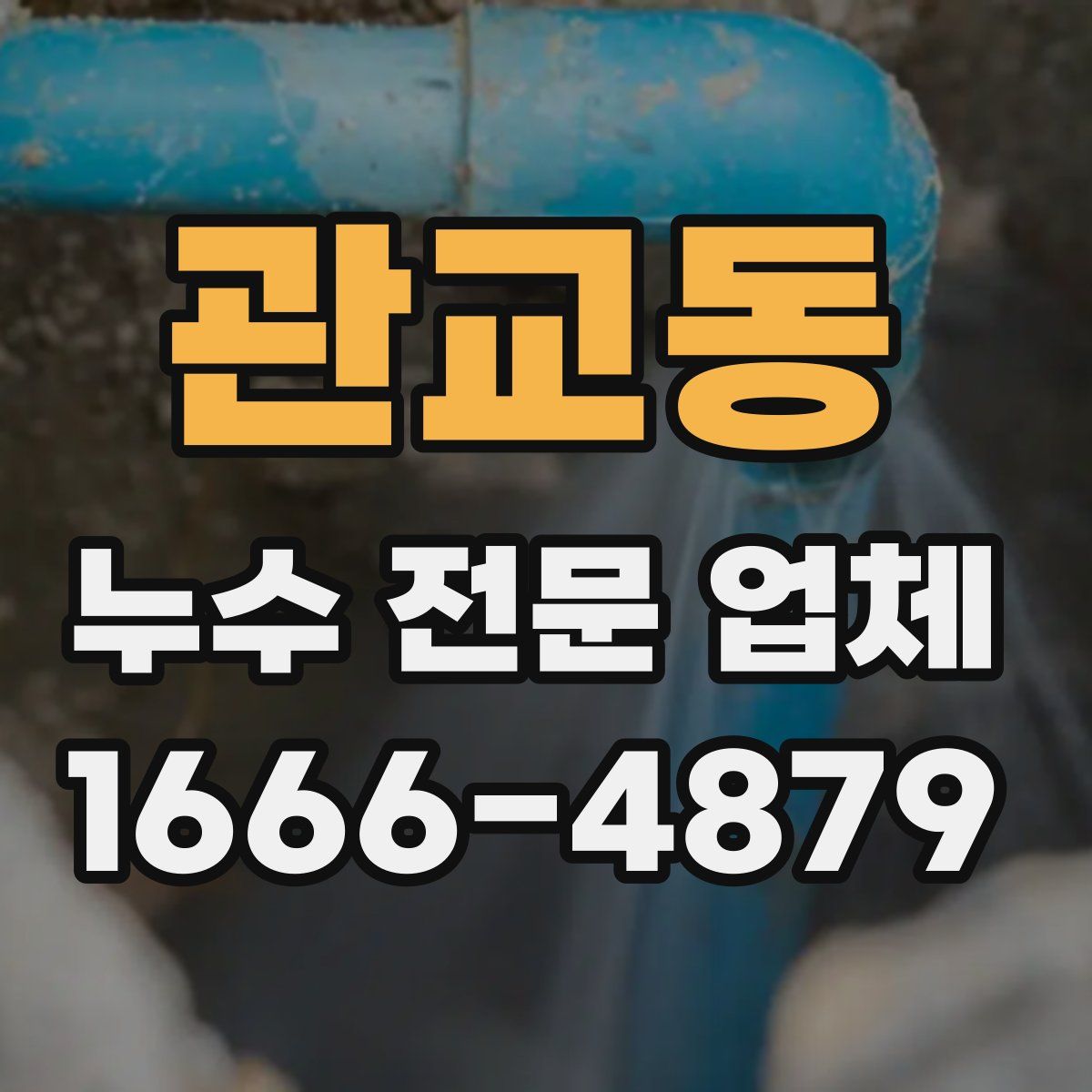 관교동 누수 전문 업체