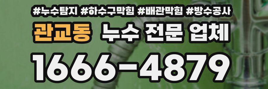 관교동 누수 전문 업체