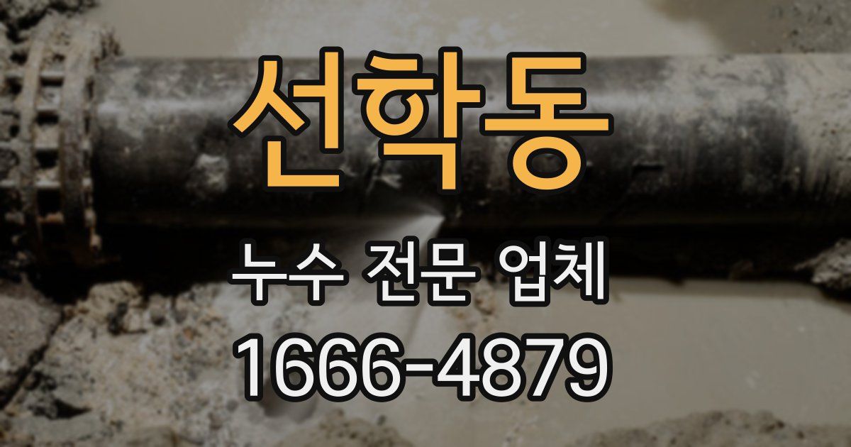선학동 누수 전문 업체