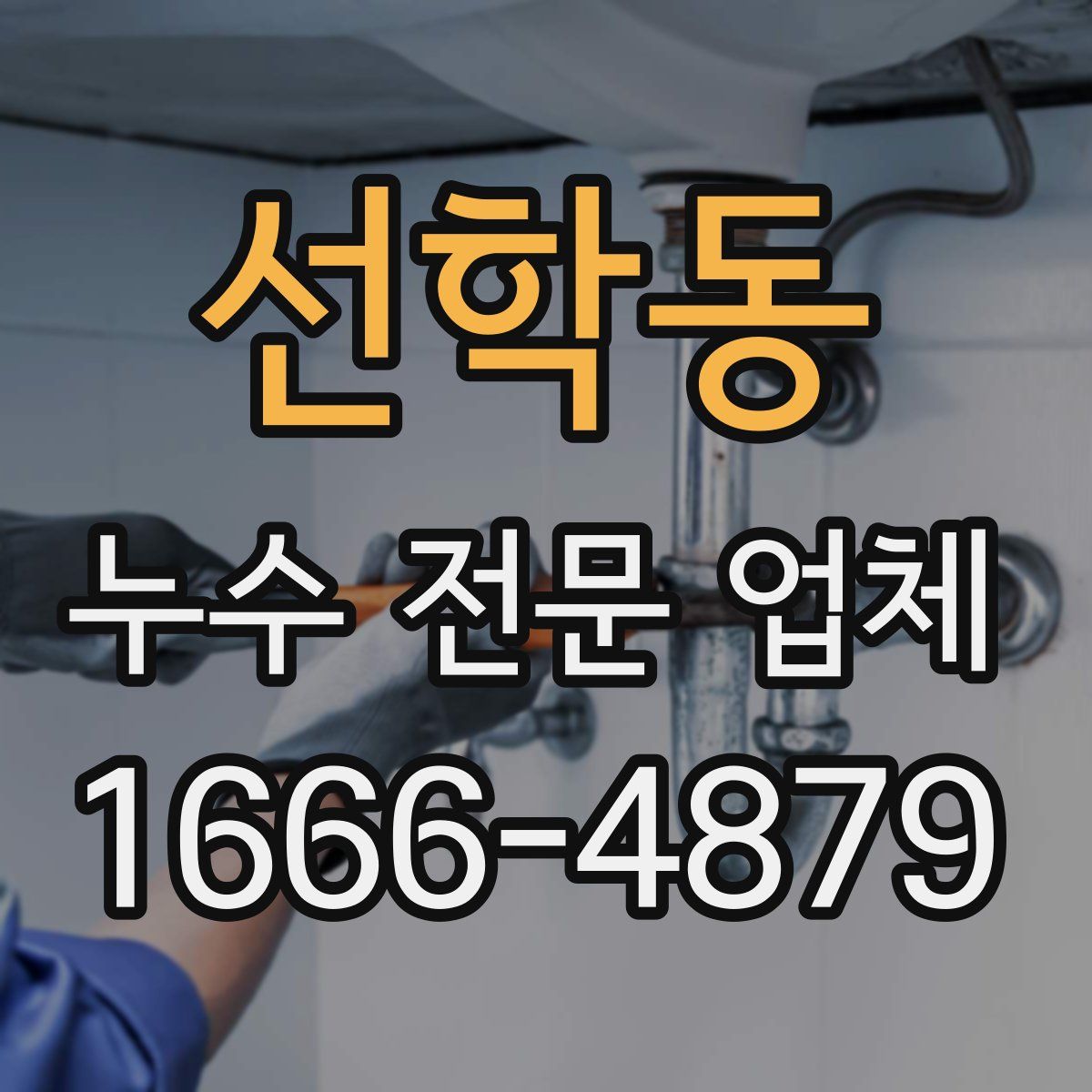 선학동 누수 전문 업체