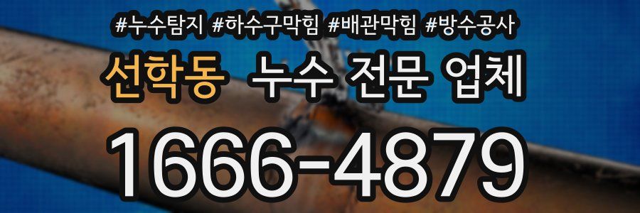 선학동 누수 전문 업체