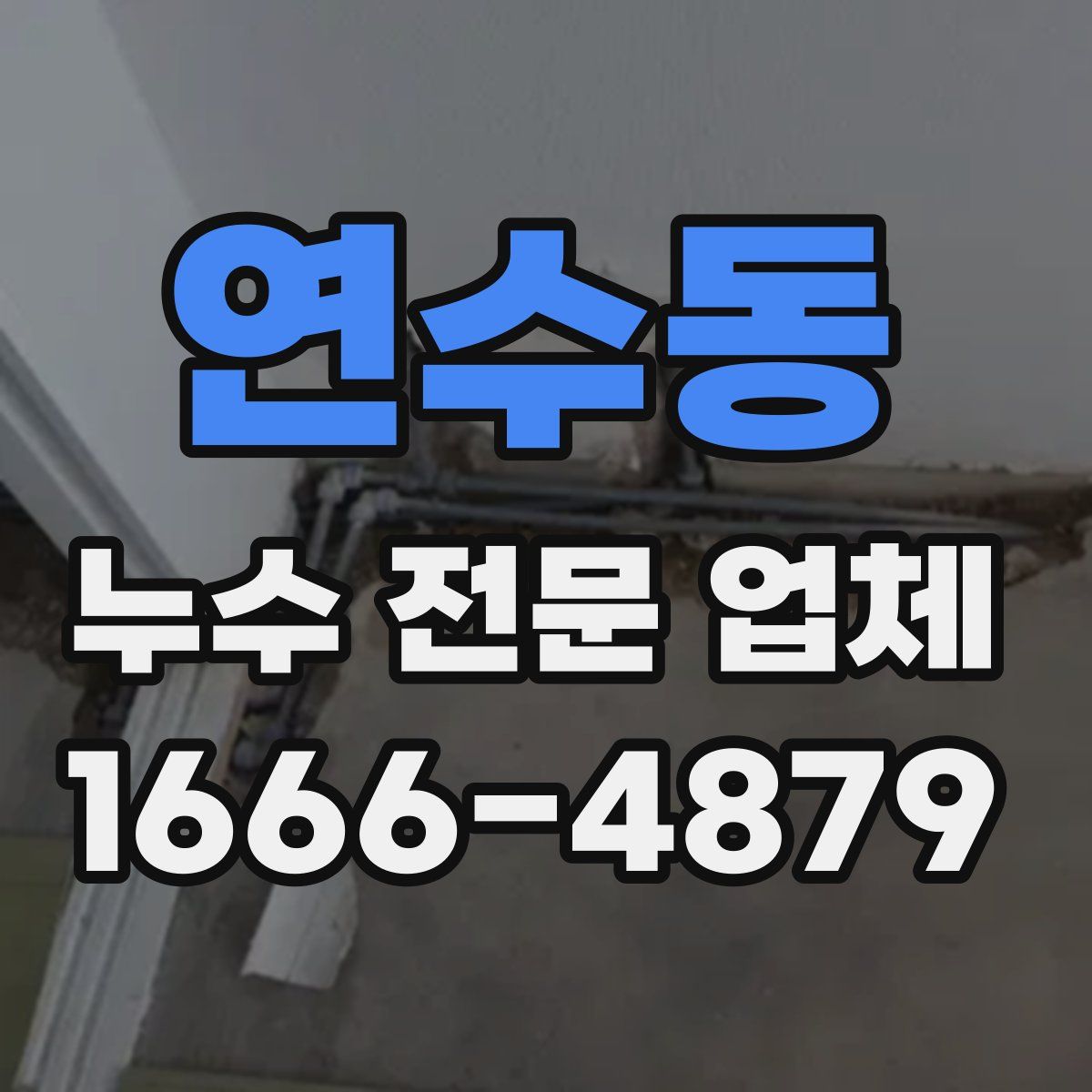 연수동 누수 전문 업체