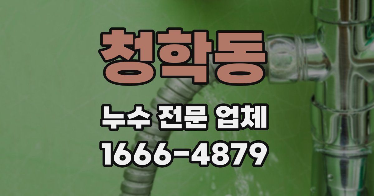 청학동 누수 전문 업체