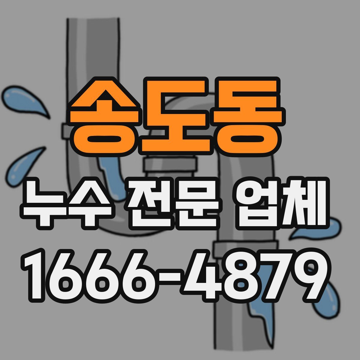 송도동 누수 전문 업체