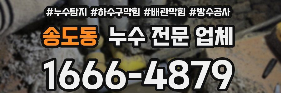 송도동 누수 전문 업체