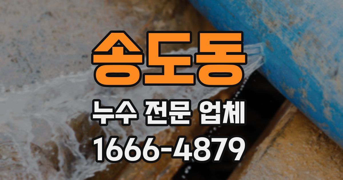 송도동 누수 전문 업체