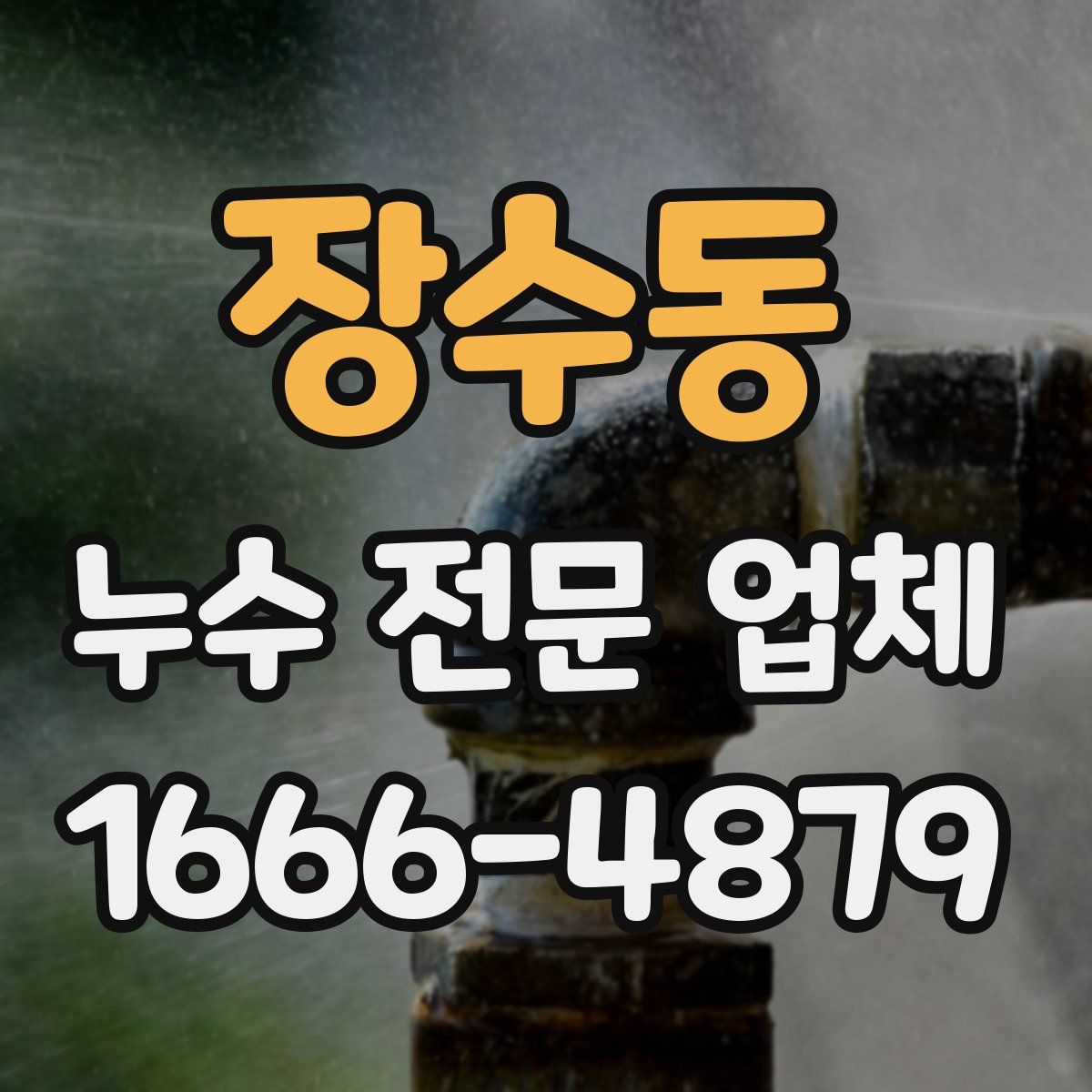 장수동 누수 전문 업체
