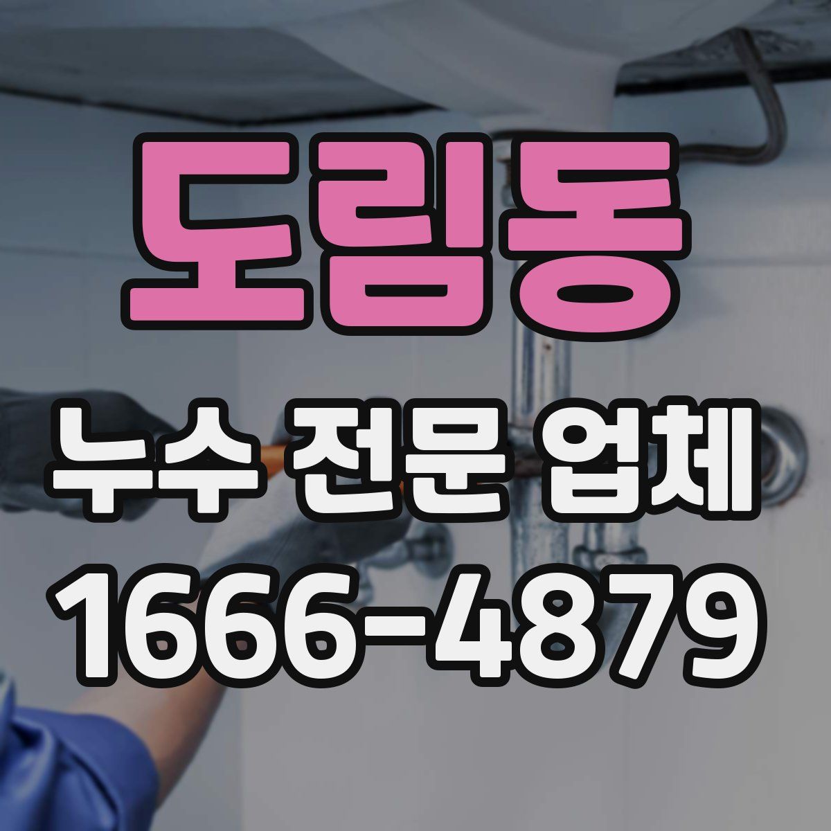 도림동 누수 전문 업체