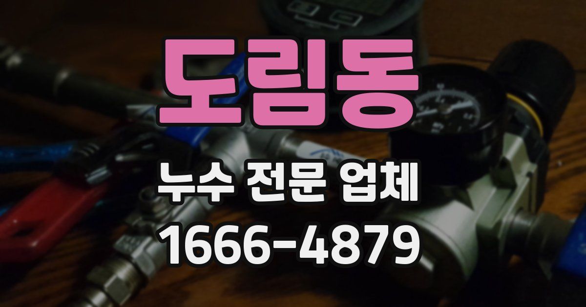 도림동 누수 전문 업체