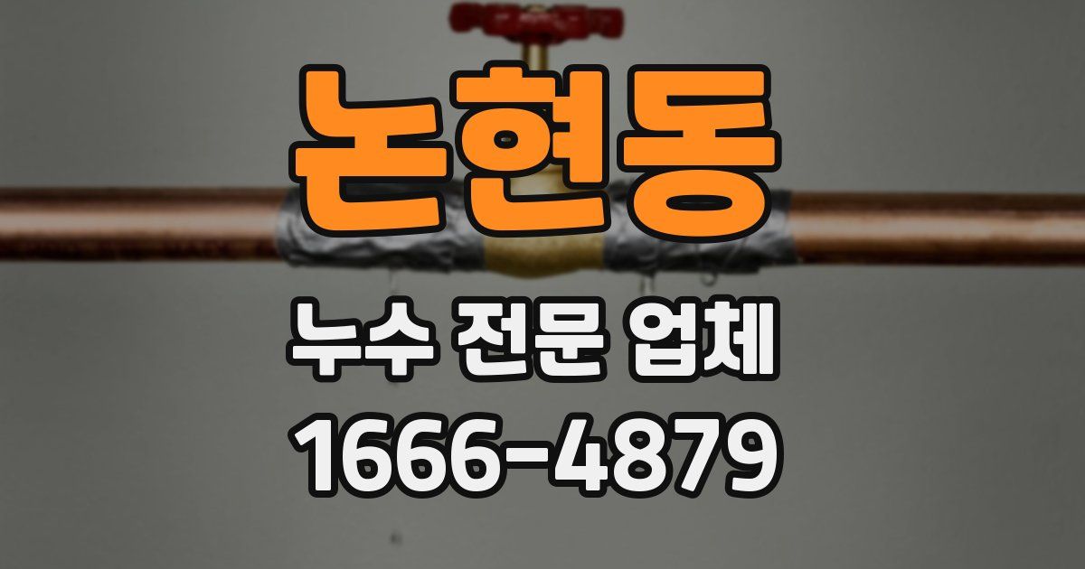 논현동 누수 전문 업체