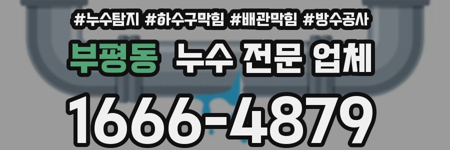 부평동 누수 전문 업체