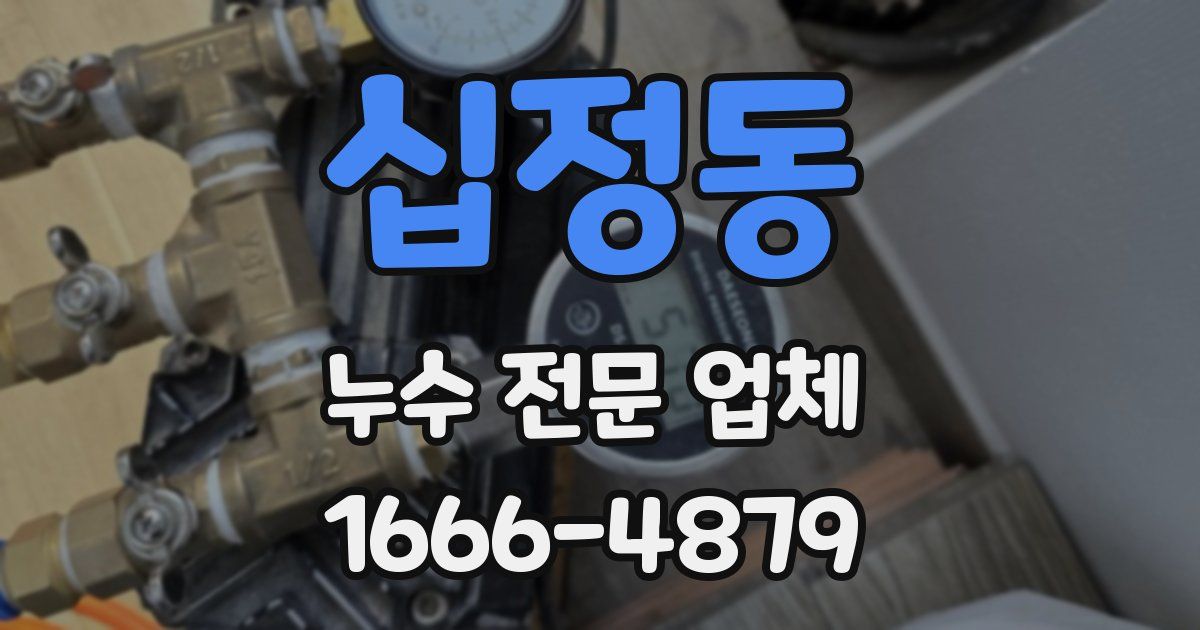십정동 누수 전문 업체