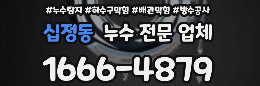 십정동 누수 전문 업체