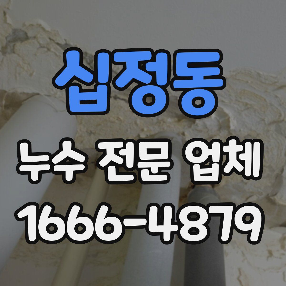 십정동 누수 전문 업체