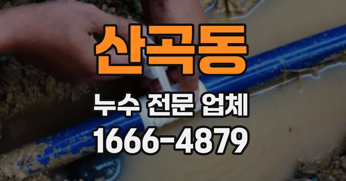 산곡동 누수 전문 업체