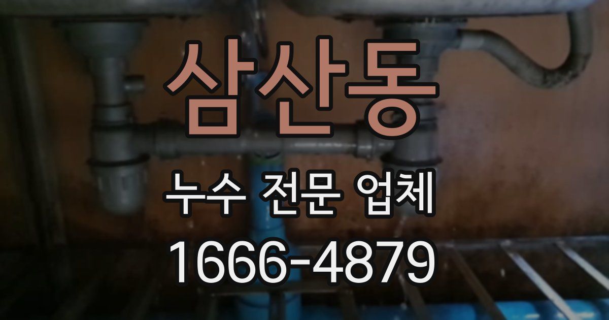 삼산동 누수 전문 업체