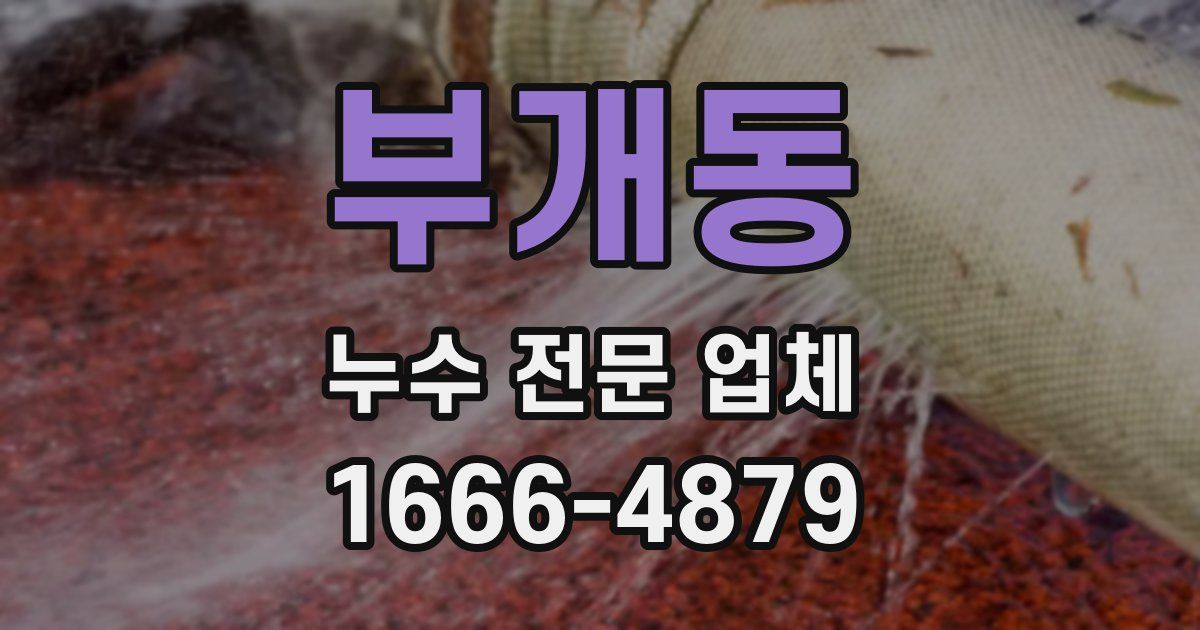 부개동 누수 전문 업체