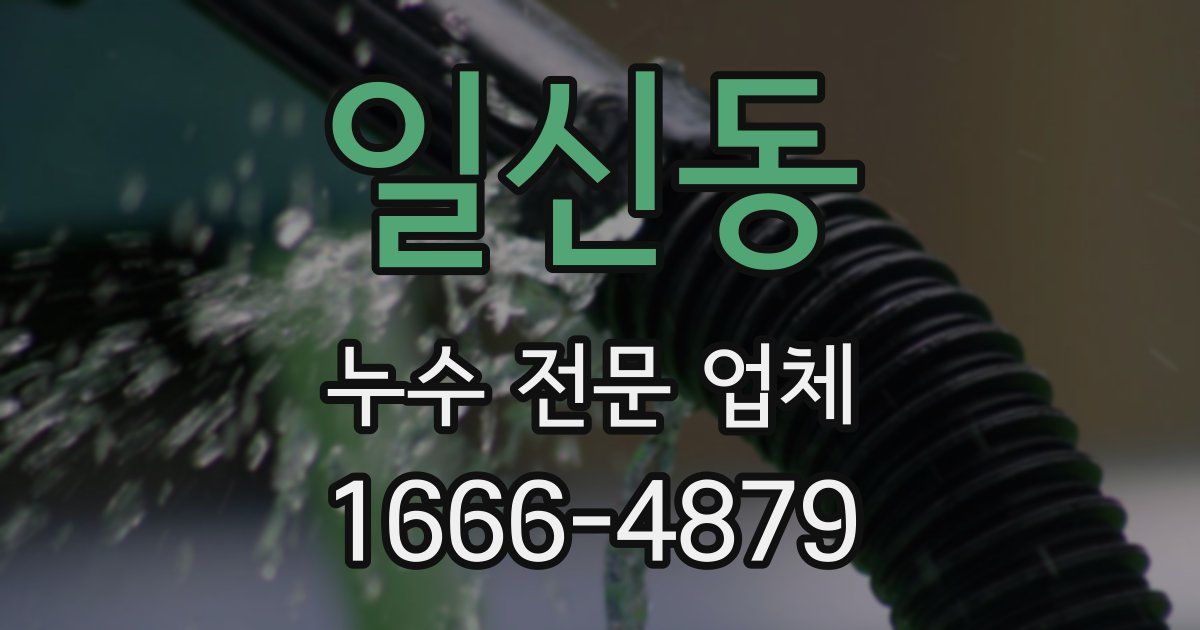 일신동 누수 전문 업체