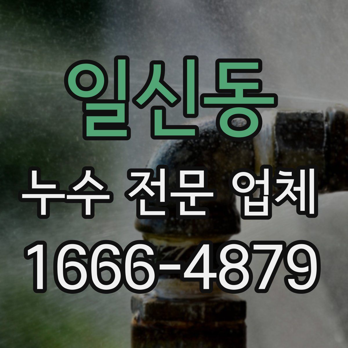 일신동 누수 전문 업체
