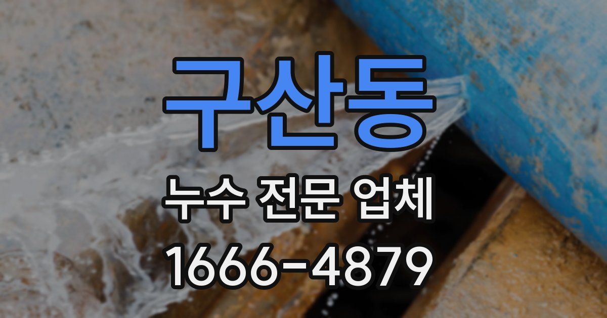 구산동 누수 전문 업체