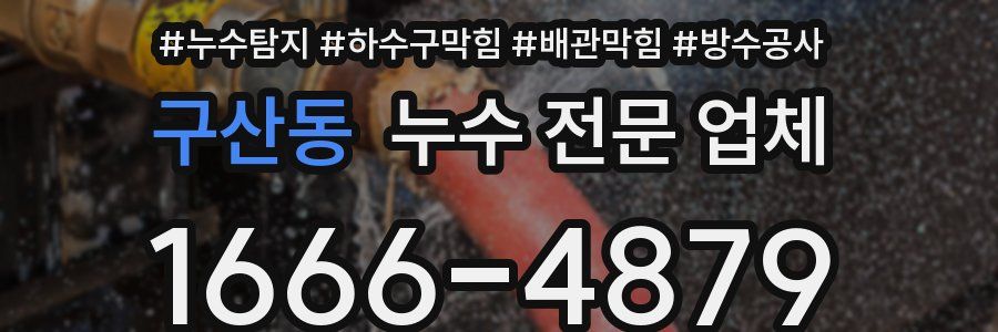구산동 누수 전문 업체