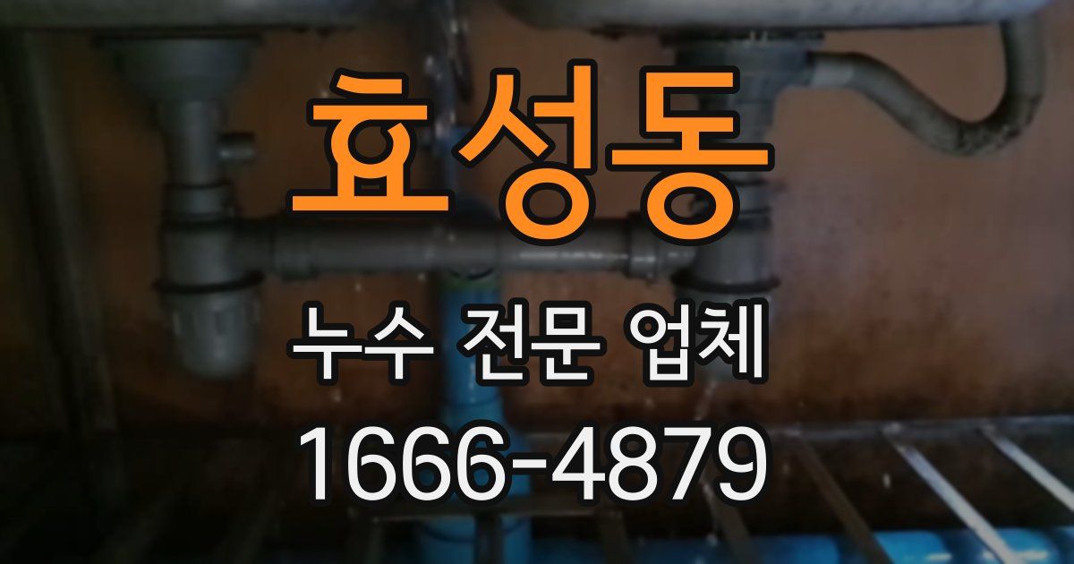 효성동 누수 전문 업체