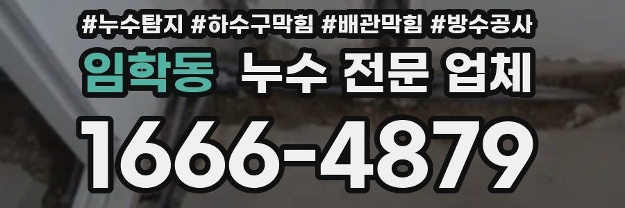 임학동 누수 전문 업체