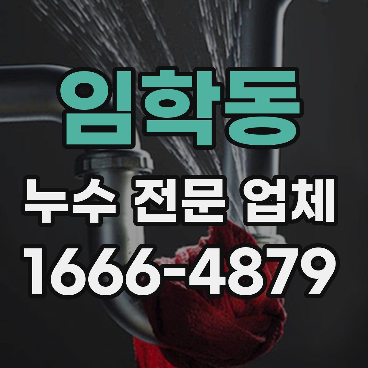 임학동 누수 전문 업체