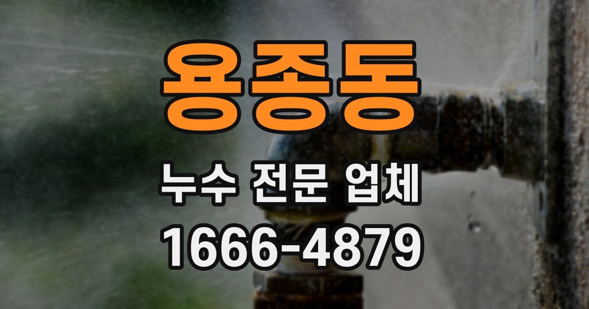 용종동 누수 전문 업체