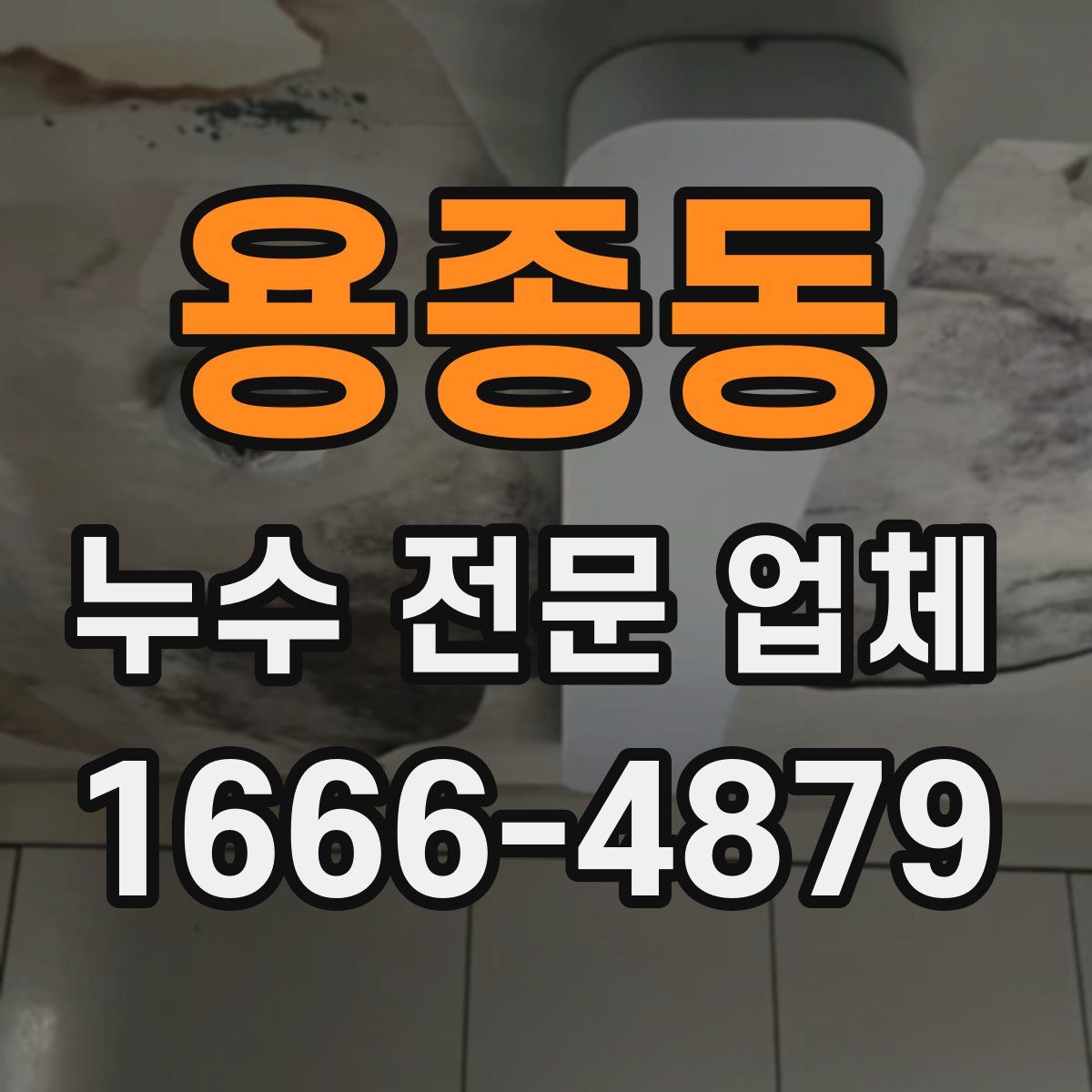 용종동 누수 전문 업체