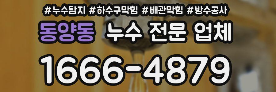 동양동 누수 전문 업체