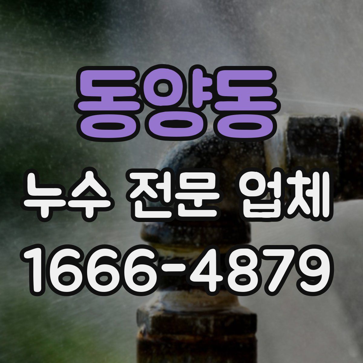동양동 누수 전문 업체