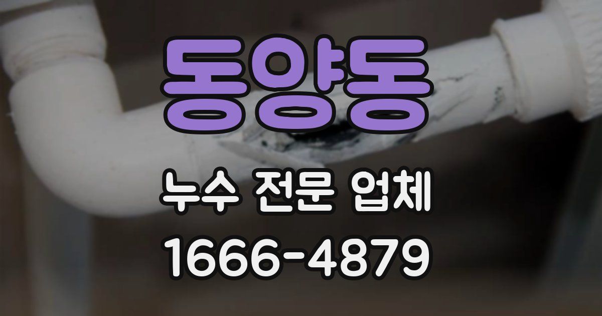 동양동 누수 전문 업체