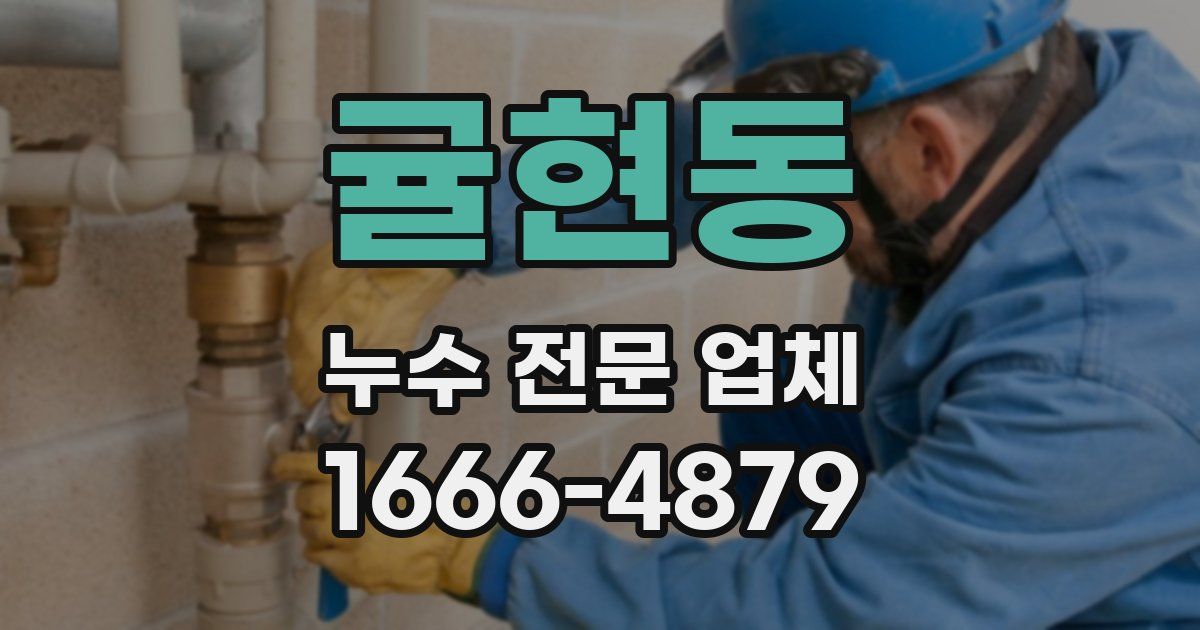 귤현동 누수 전문 업체