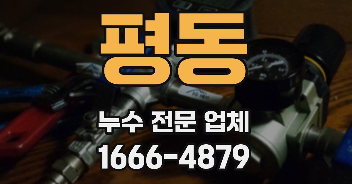 평동 누수 전문 업체