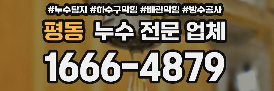 평동 누수 전문 업체