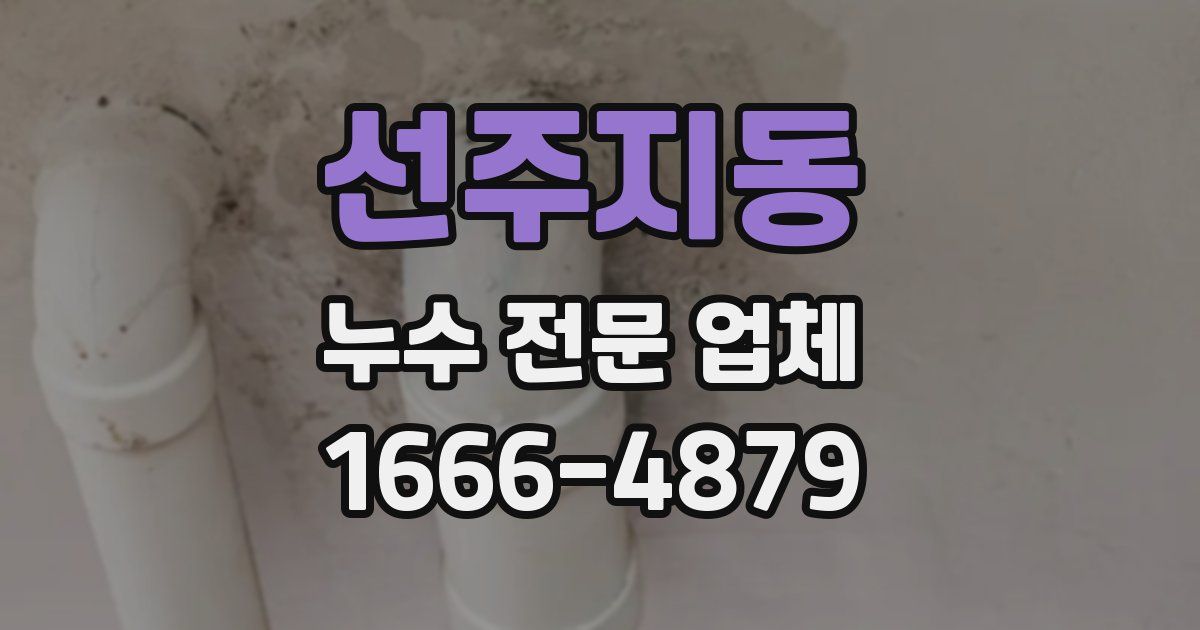 선주지동 누수 전문 업체