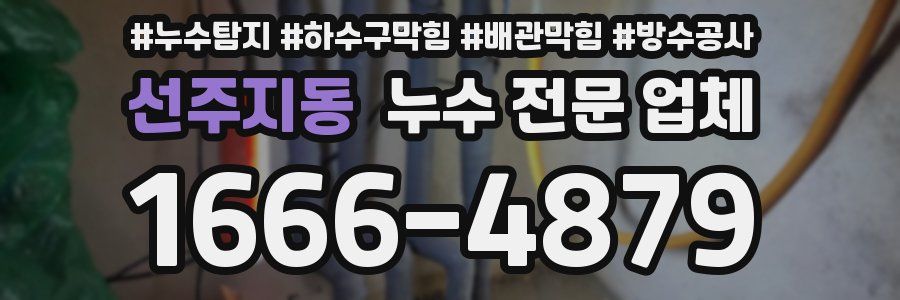 선주지동 누수 전문 업체