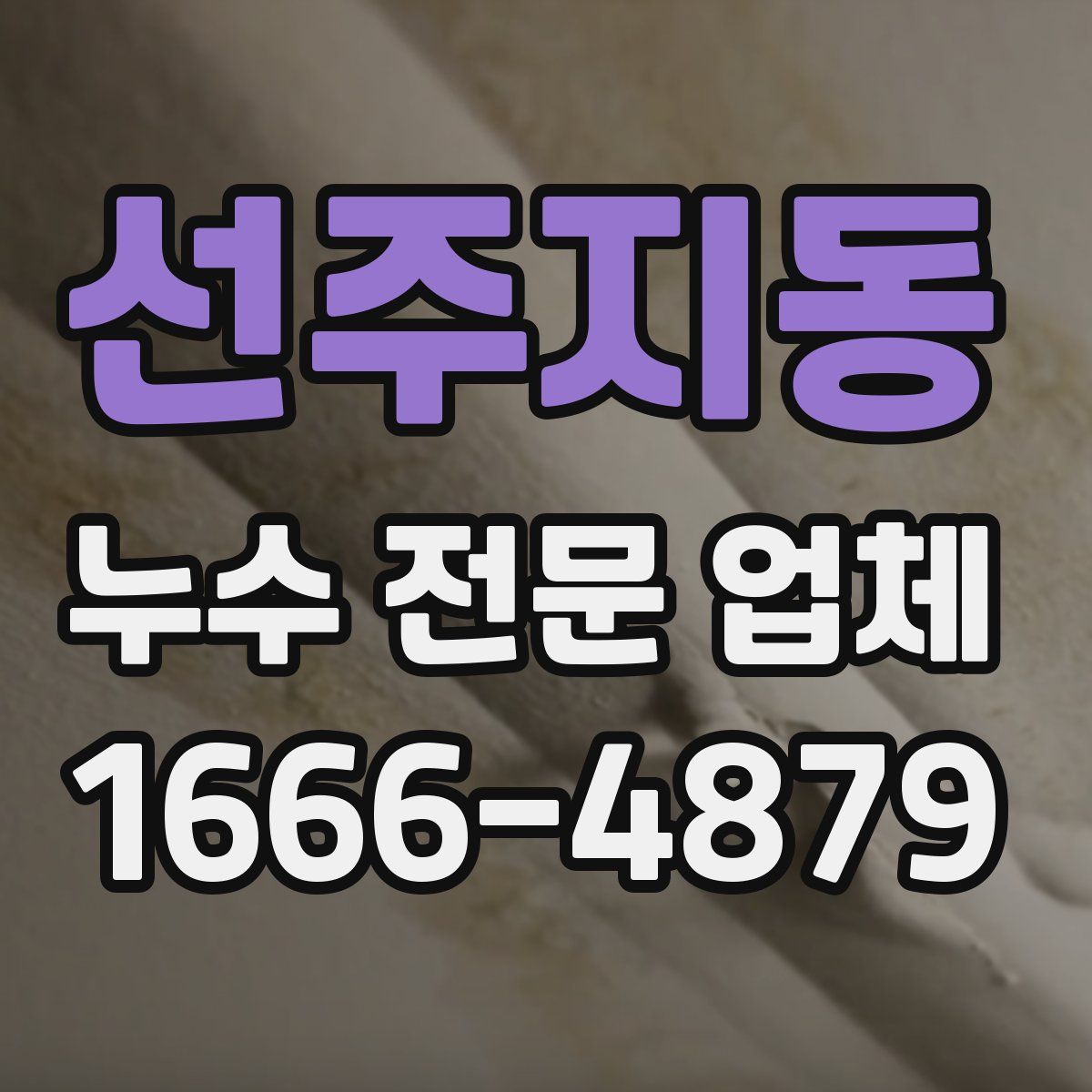 선주지동 누수 전문 업체