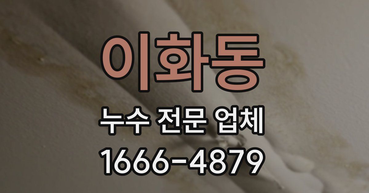 이화동 누수 전문 업체