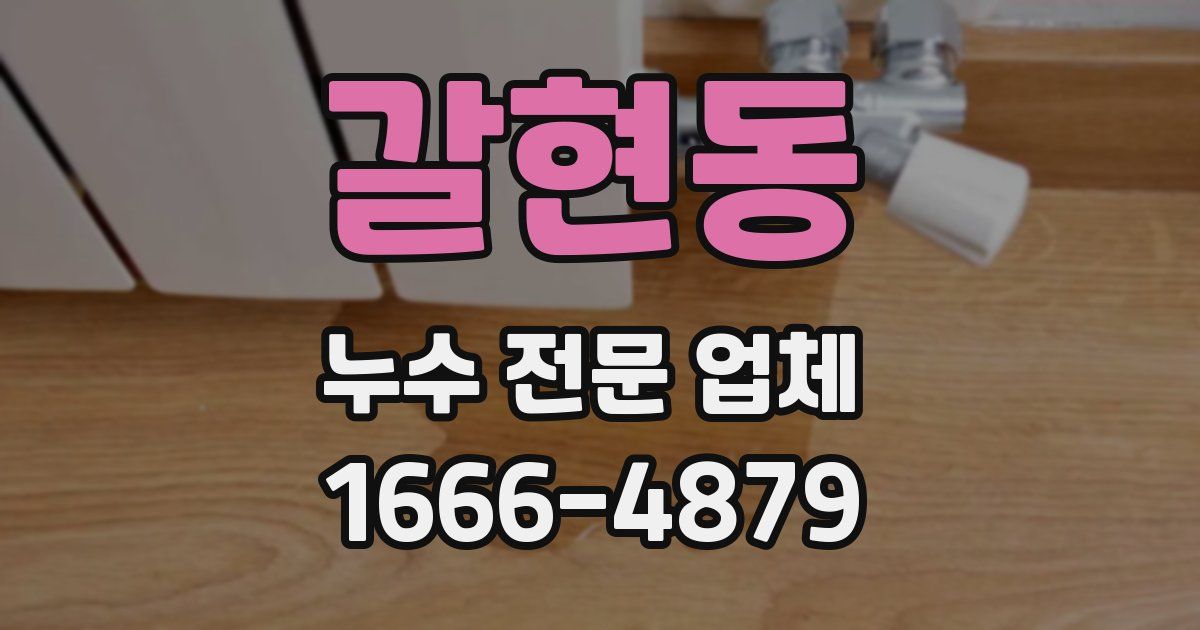 갈현동 누수 전문 업체