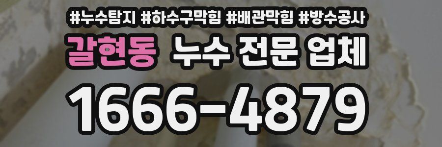 갈현동 누수 전문 업체