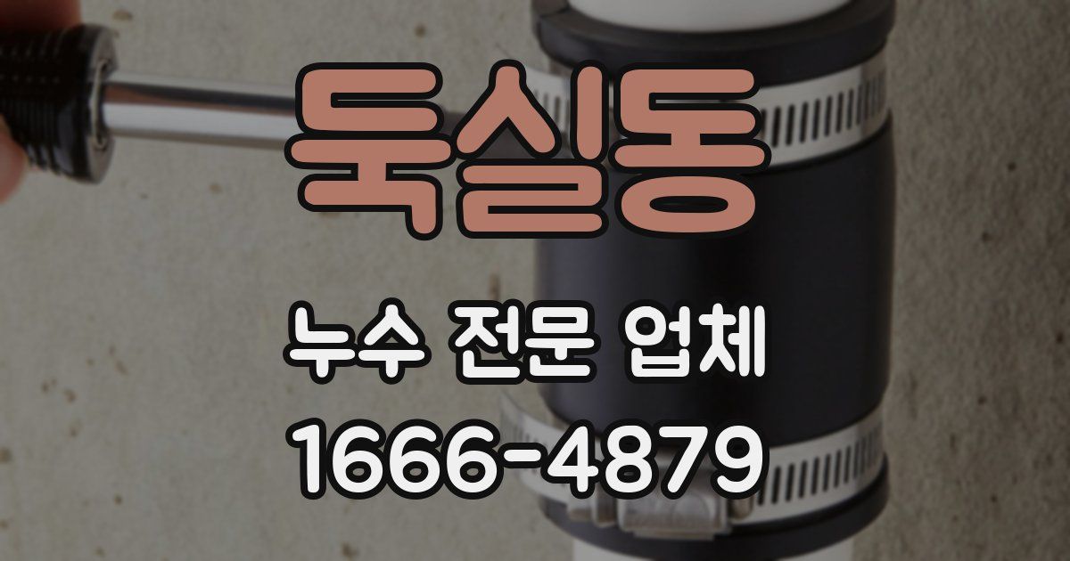 둑실동 누수 전문 업체