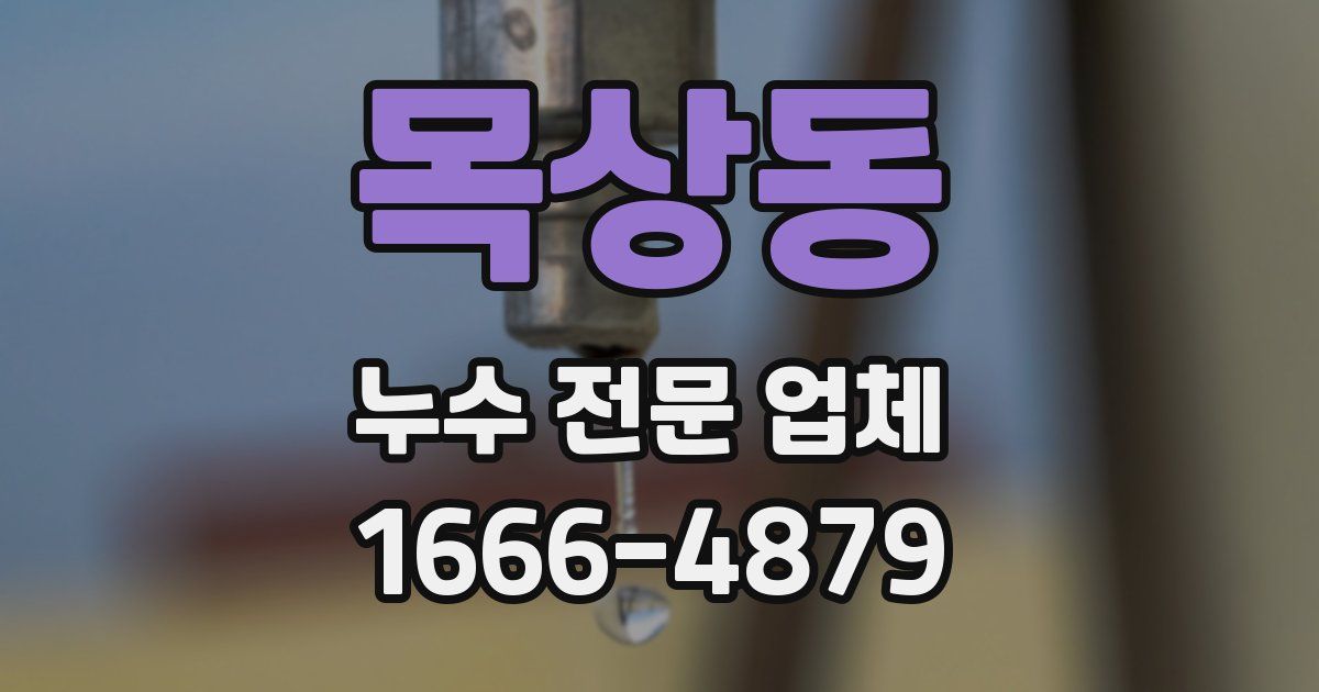 목상동 누수 전문 업체