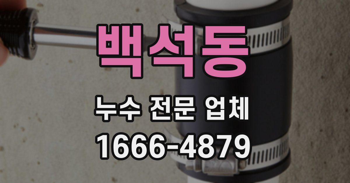 백석동 누수 전문 업체