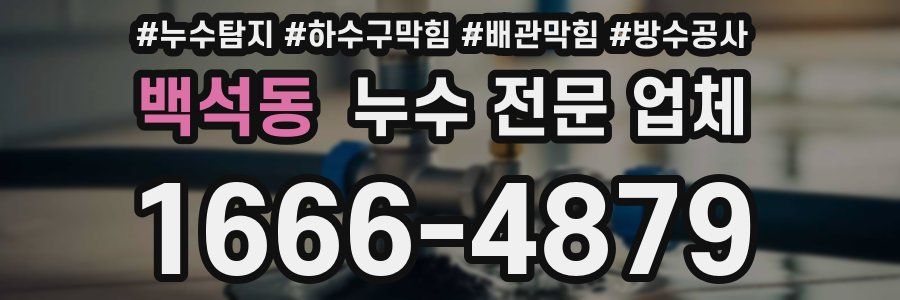 백석동 누수 전문 업체