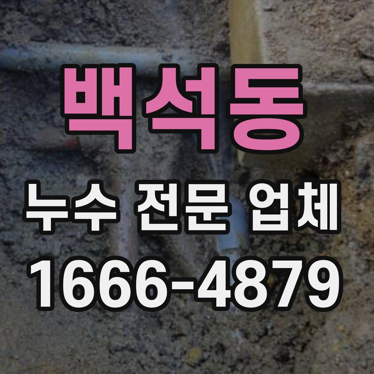 백석동 누수 전문 업체