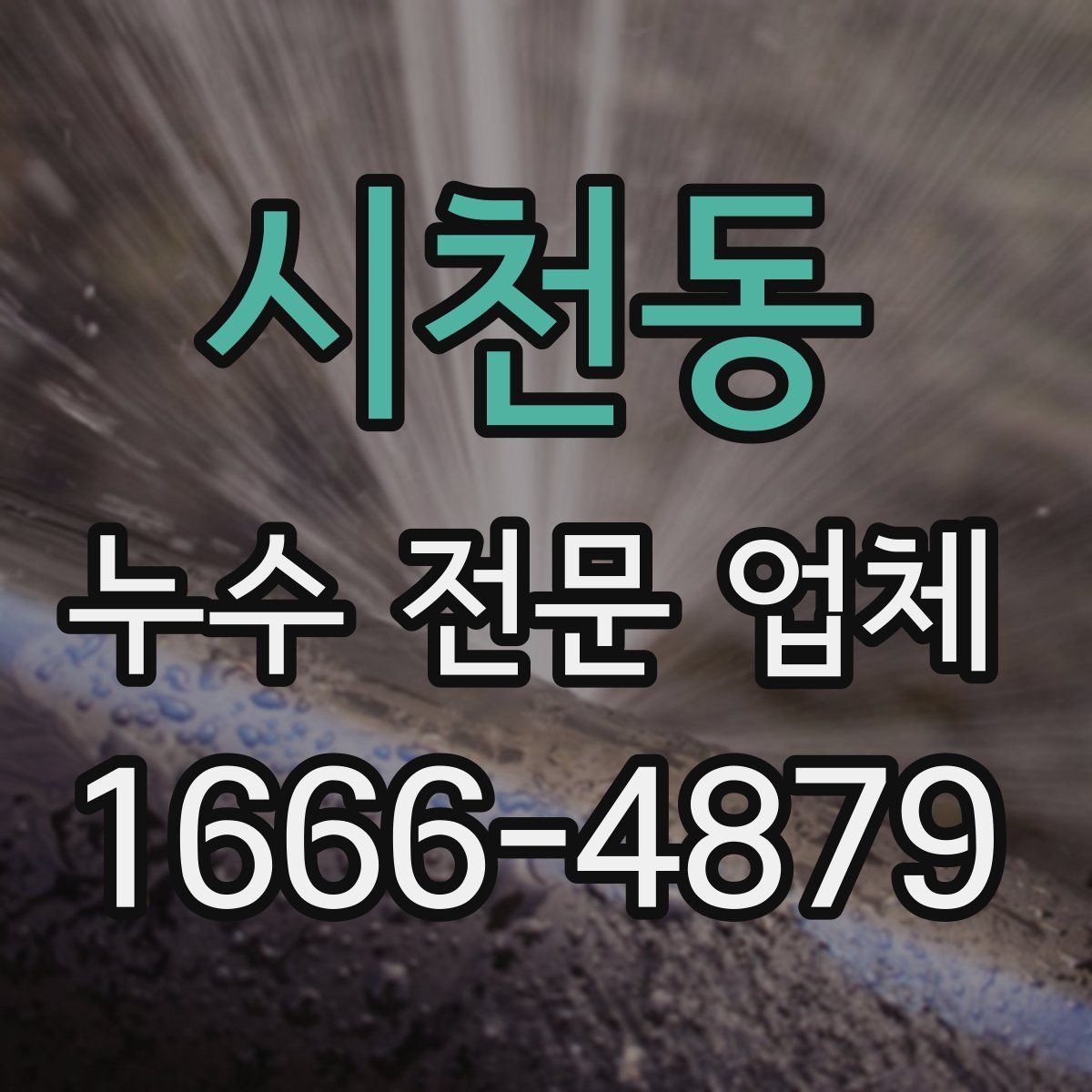 시천동 누수 전문 업체