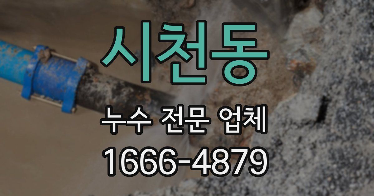시천동 누수 전문 업체